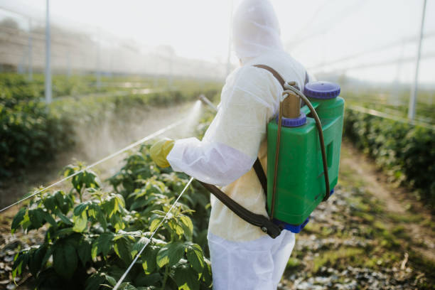 Best Termite Control Services  in Louisville, KY